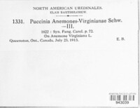 Puccinia anemones image